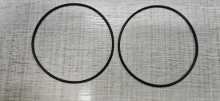 Imagem de Anel específico ; da Bomba SEIM ; CFM ;