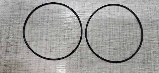 Imagem de Anel específico ; da Bomba SEIM ; CFM ;